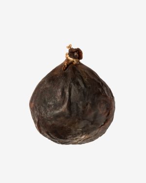 Bucho deMorcela