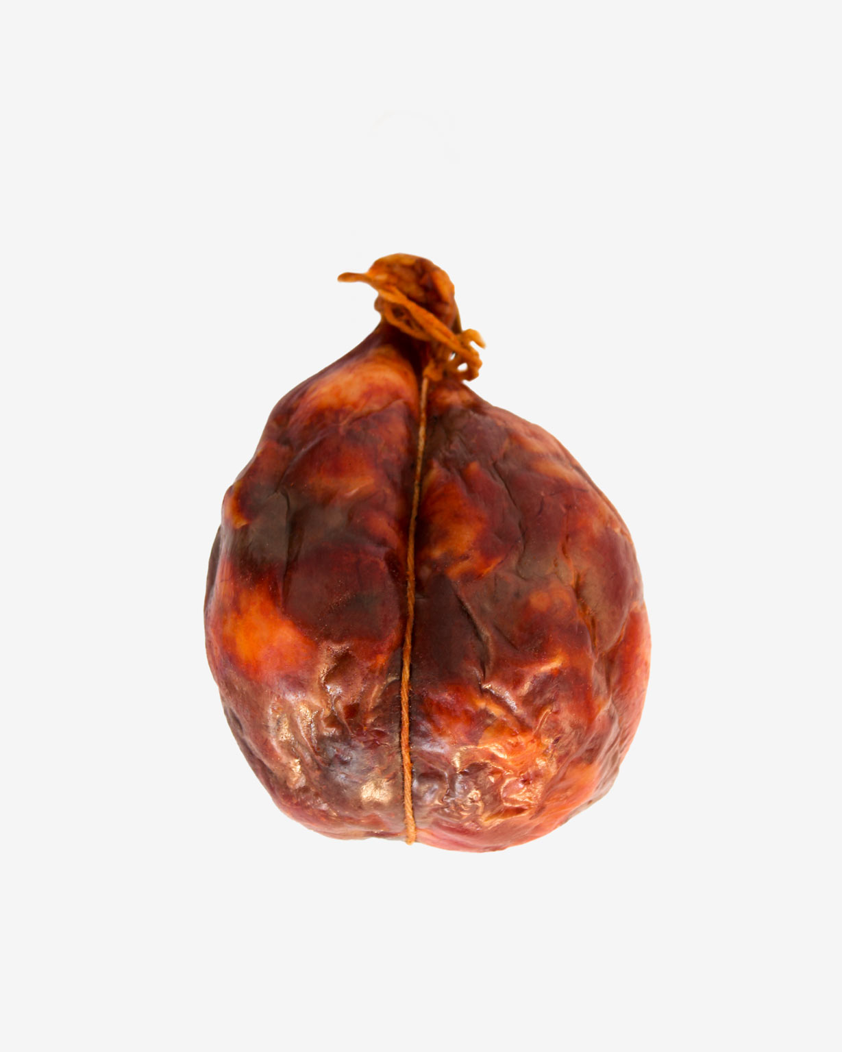 Bucho deOssos